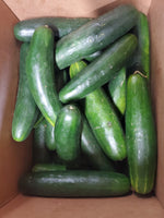 Load image into Gallery viewer, Green Cucumbers
