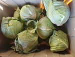 Load image into Gallery viewer, Head of Green Cabbage
